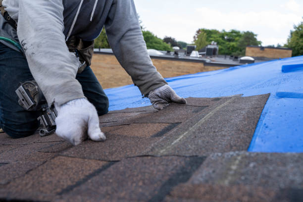 Best Shingle Roofing Installation  in Parksdale, CA