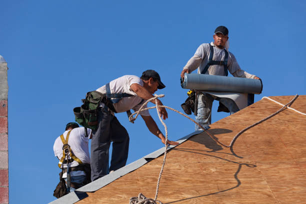 Best Roof Gutter Cleaning  in Parksdale, CA